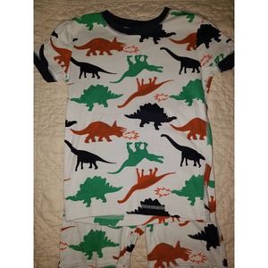 Boys Summer Dinosaur Pajamas